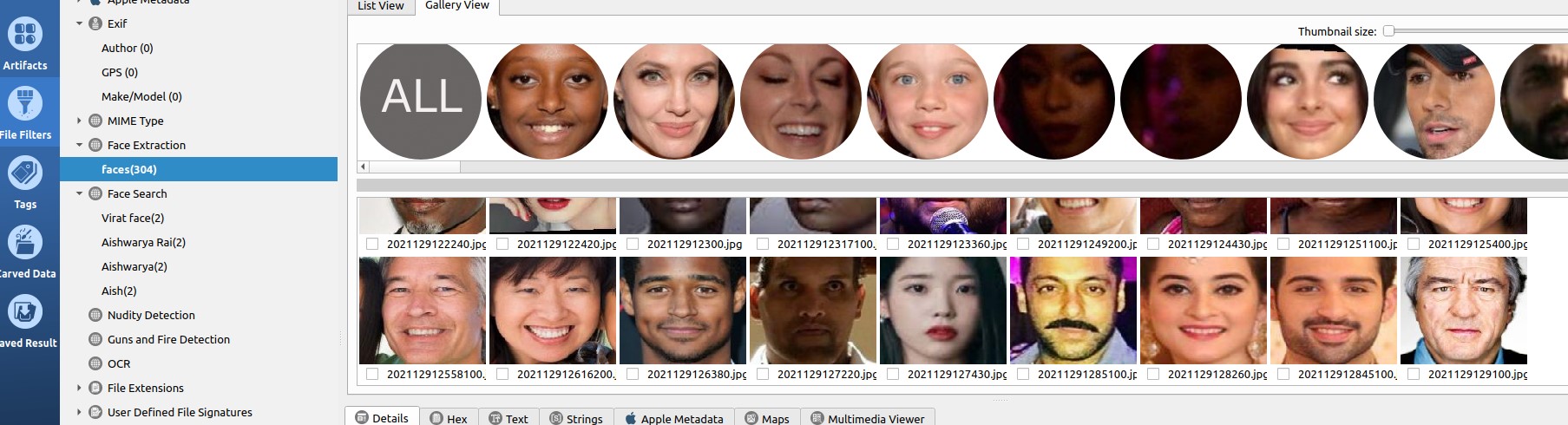 Face Detection Feature
